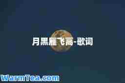 月黑雁飞高-歌词 月黑雁飞高-歌词