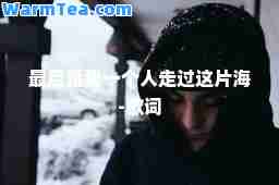 是我一个人走过这片海-歌词