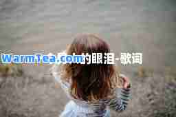 一个男人的眼泪-歌词