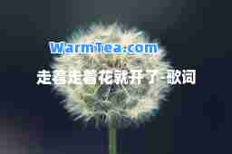 走着走着花就开了-歌词