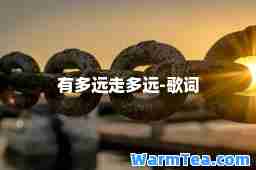 有多远走多远-歌词