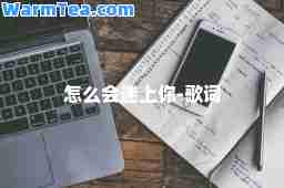 怎么会迷上你-歌词 怎么会迷上你-歌词