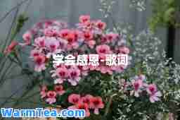学会感恩-歌词