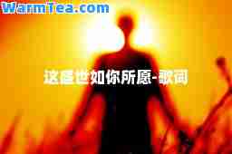 这盛世如你所愿-歌词