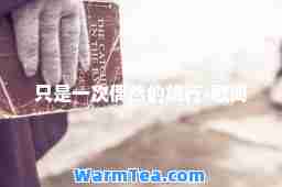 只是一次偶然的旅行-歌词