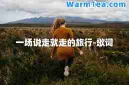 一场说走就走的旅行-歌词