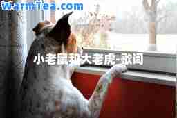 小老鼠和大老虎-歌词
