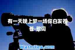 有晚上梦一场你白发苍苍-歌词