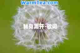 转身离开-歌词