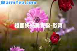 祖国妈妈我爱你-歌词
