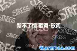 新不了情 歌词-歌词