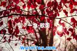 一念-歌词