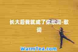 长大后我就成了你歌词-歌词