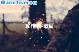 珍惜你-歌词