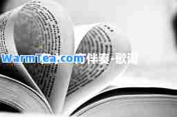 在水一方伴奏-歌词