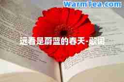 远看是蔚蓝的春天-歌词
