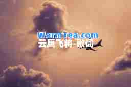 云鹰飞将-歌词