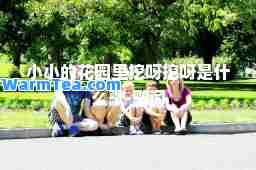 小小的花园里挖呀挖呀是什么歌-歌词