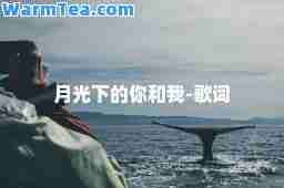 月光下的你和我-歌词