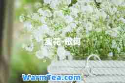 卖花-歌词