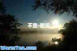 不变-歌词