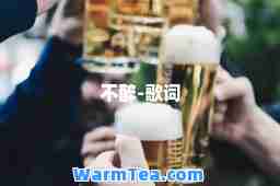 不醉-歌词