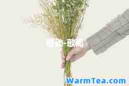 感动-歌词 感动-歌词