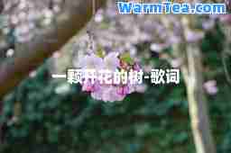 一颗开花的树-歌词