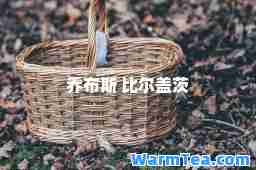 乔布斯 比尔盖茨