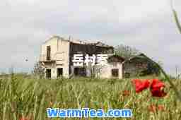 岳村案