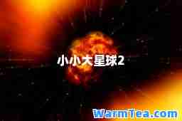 小小大星球2