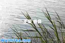 王蒙 善良