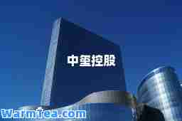 中玺控股