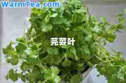 芫荽叶