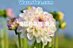 幸福的花园-歌词
