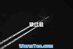 铁过载