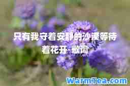 只有我守着安静的沙漠等待着花开-歌词