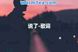 说了-歌词