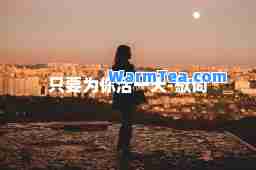 只要为你活-歌词