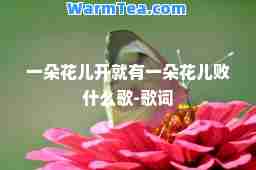 一朵花儿开就有一朵花儿败什么歌-歌词