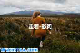 走着-歌词