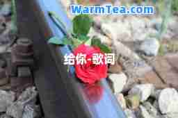 给你-歌词