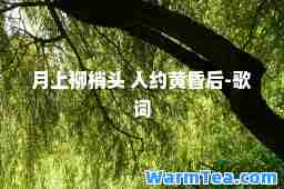 月上柳梢头 人约黄昏后-歌词