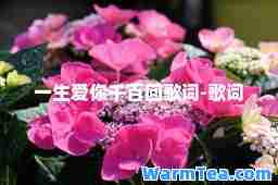 一生爱你千百回歌词-歌词