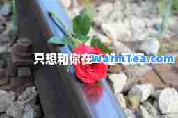 只想和你在一起-歌词