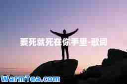 要死就死在你手里-歌词