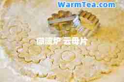 微波炉 云母片