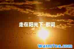 走在阳光下-歌词