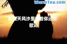 在漫天风沙里望着你远去-歌词