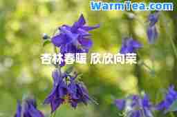 杏林春暖 欣欣向荣